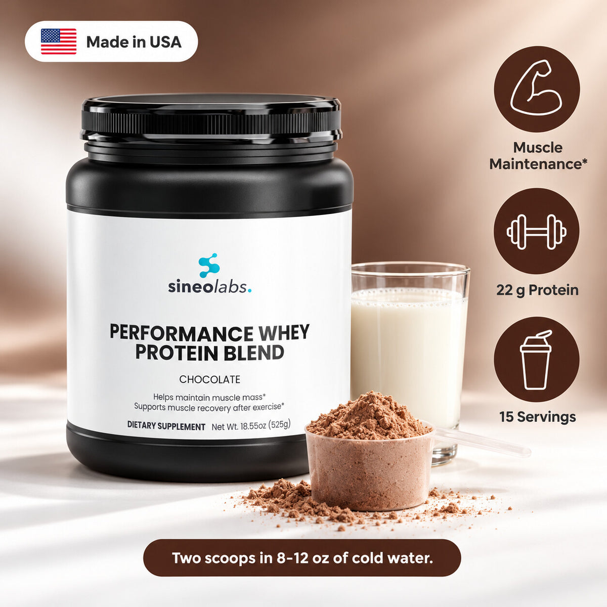 Performance Whey Protein, 22g Protein, Chocolate: Muscle Maintenance, 22 g Protein, 15 Servings