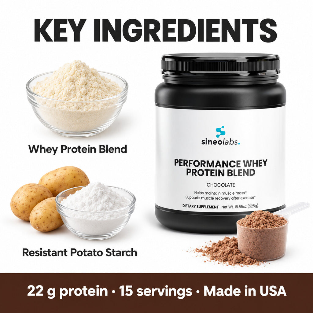 Performance Whey Protein, 22g Protein, Chocolate: Whey Protein Blend, Resistant Potato Starch