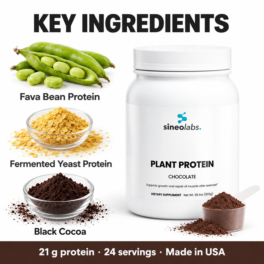 Plant Protein Powder, 21g Protein, Chocolate: Fava Bean Protein, Fermented Yeast Protein, Black Cocoa