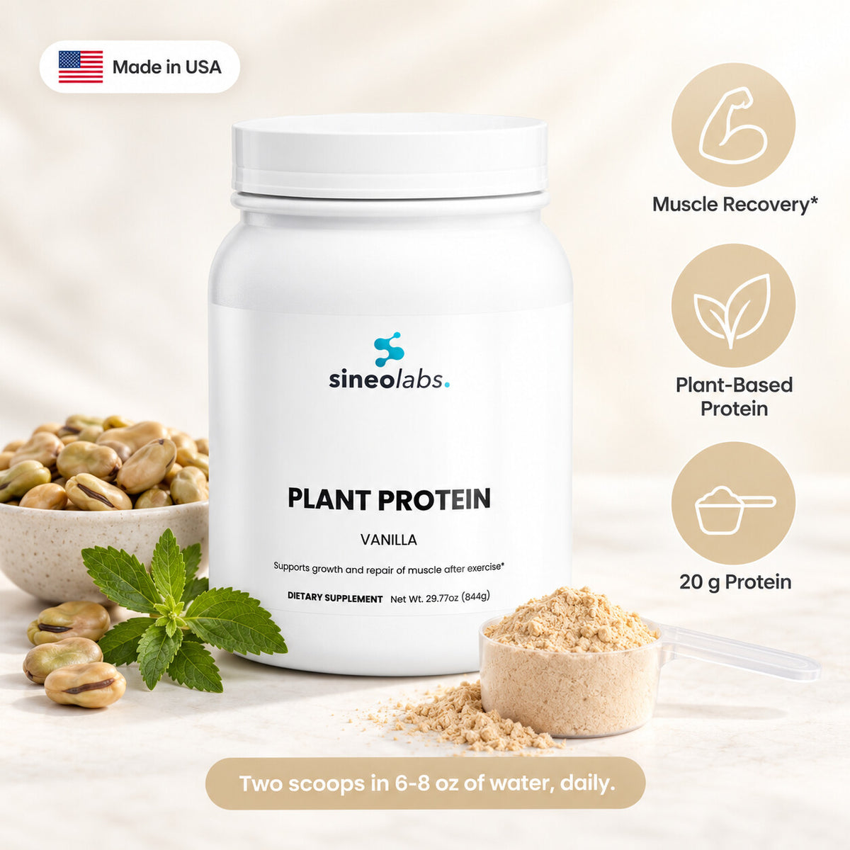 Plant Protein Powder, 20g Protein, Vanilla: Muscle Recovery, Plant-Based Protein, 20 g Protein