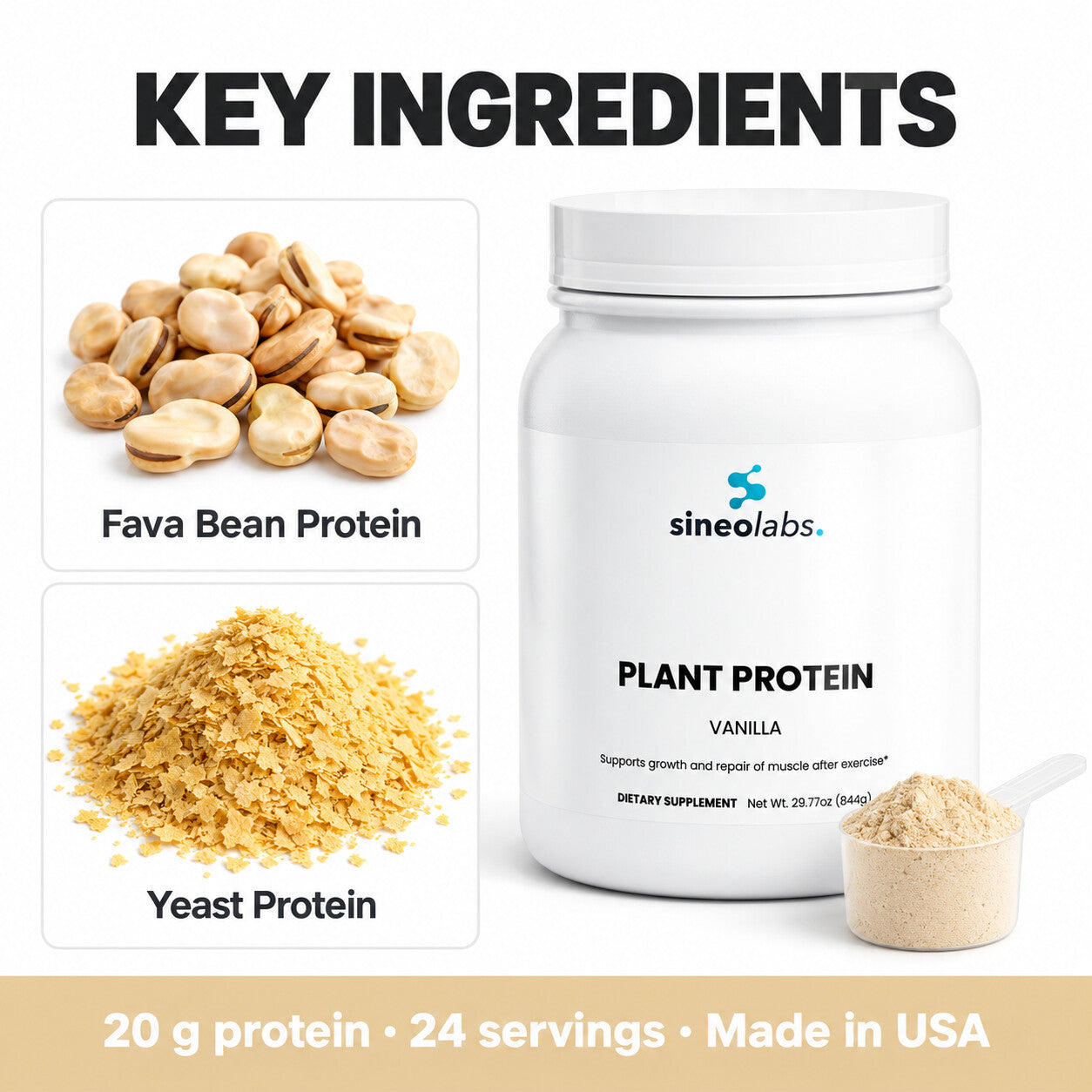 Plant Protein Powder, 20g Protein, Vanilla: Fava Bean Protein, Yeast Protein