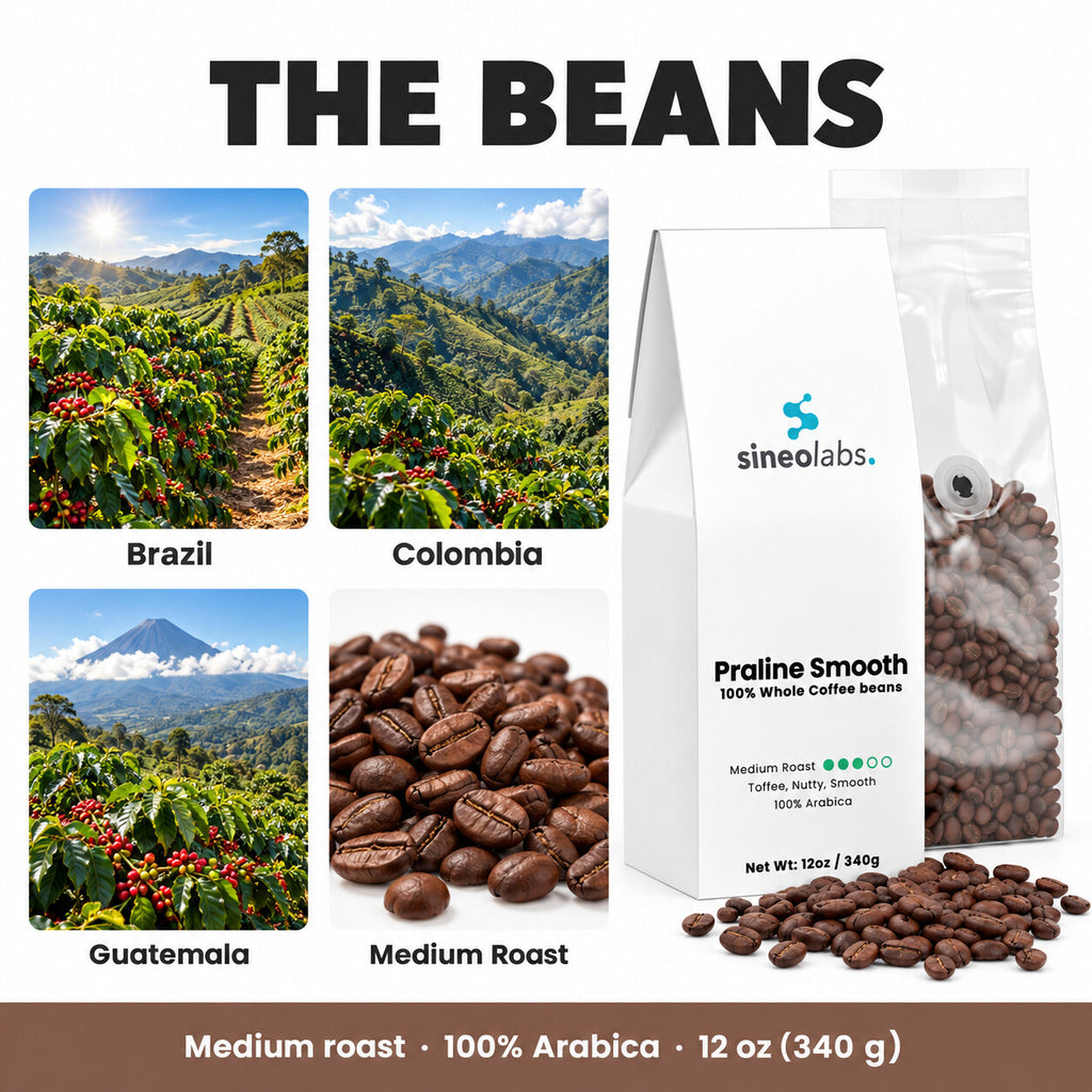 Praline Smooth Medium Roast Coffee, Whole Bean 12oz: Brazil, Colombia, Guatemala, Medium Roast
