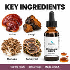 Reishi Calm Drops, 150mg Reishi Extract: Reishi, Chaga, Maitake, Turkey Tail