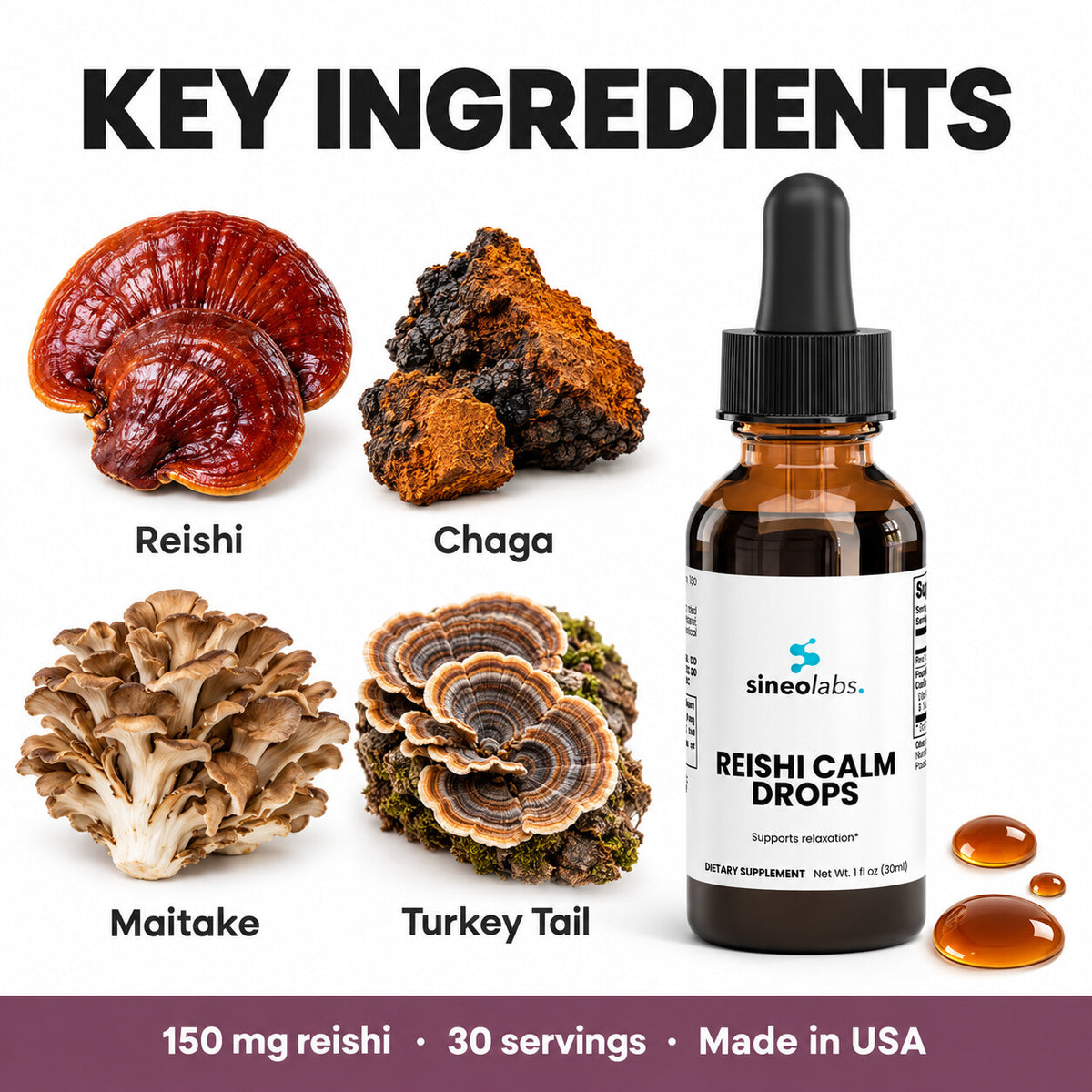 Reishi Calm Drops, 150mg Reishi Extract: Reishi, Chaga, Maitake, Turkey Tail