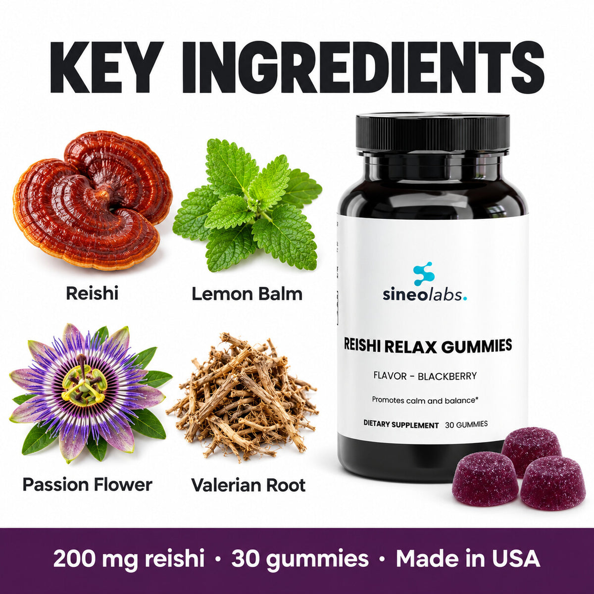 Reishi Relax Gummies with L-Theanine, Blackberry: Reishi, Lemon Balm, Passion Flower, Valerian Root