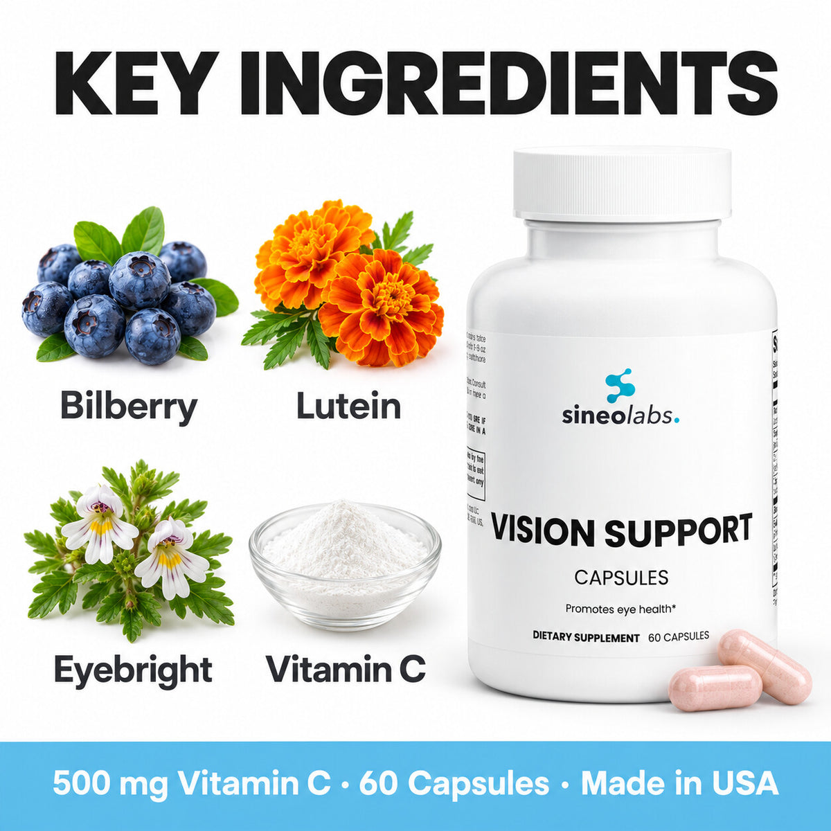 Vision Support Formula: Bilberry, Lutein, Eyebright, Vitamin C